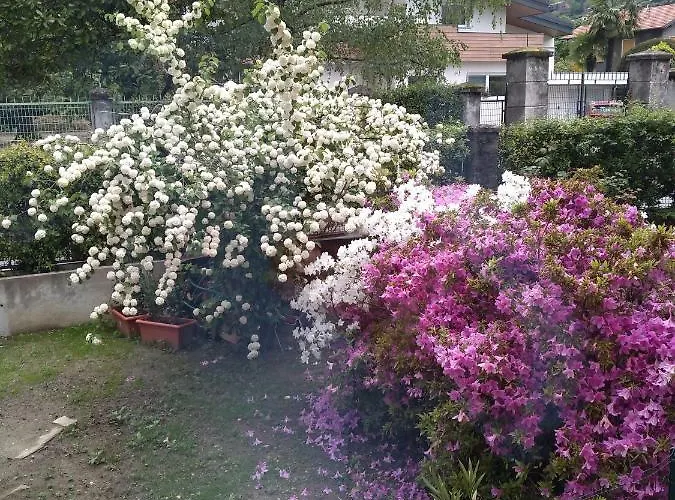 Prázdninový dům Casa Orisca *